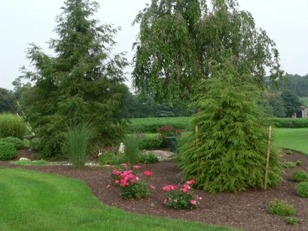Plantings by Cumberland Valley Tree Service - Landscaping - Photo 27