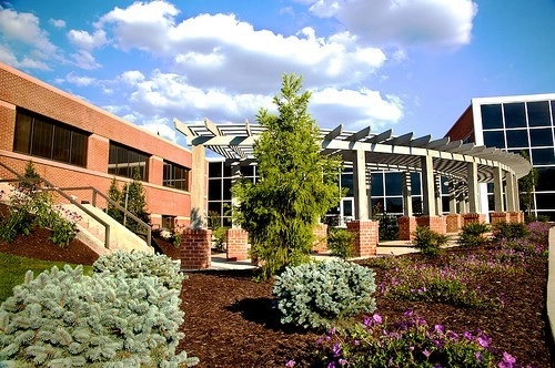 Plantings by Cumberland Valley Tree Service - Landscaping - Photo 21