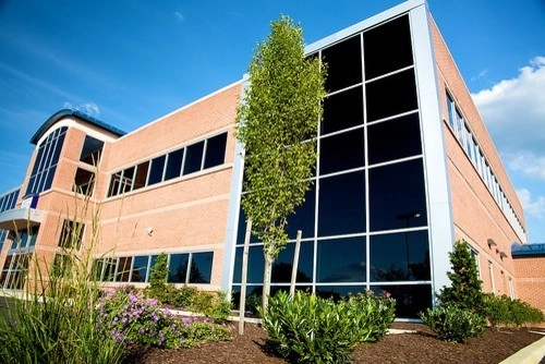 Plantings by Cumberland Valley Tree Service - Landscaping - Photo 4