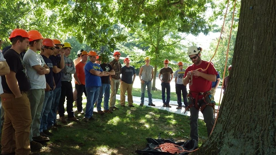 Tree Division by Cumberland Valley Tree Service - Landscaping - Photo 31