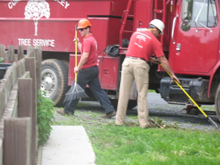 Tree Division by Cumberland Valley Tree Service - Landscaping - Photo 25
