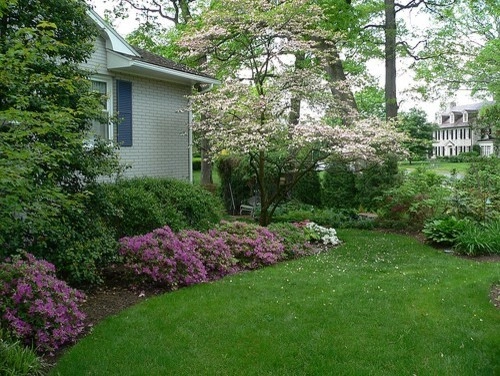 Plantings by Cumberland Valley Tree Service - Landscaping - Photo 8