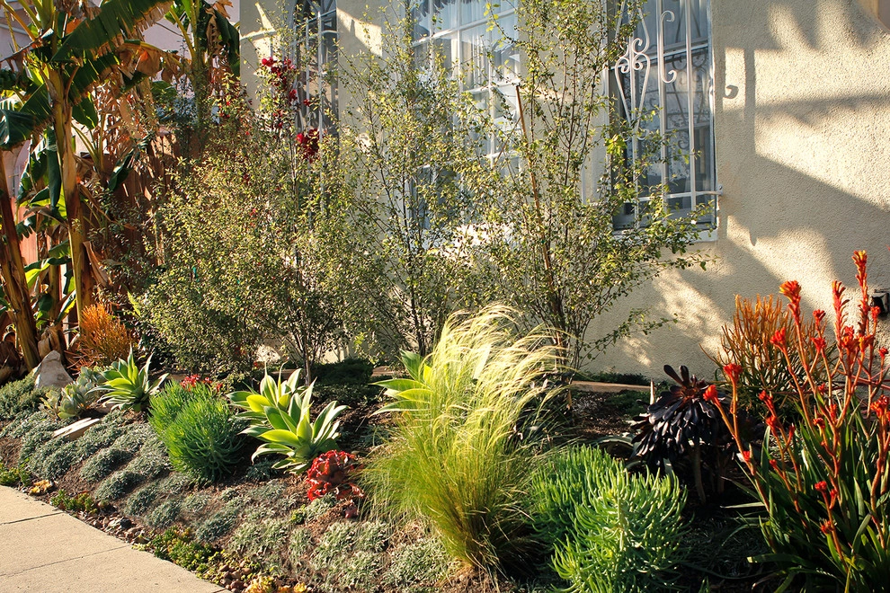 Spanish Landscape Hancock Park by Bosler Earth Design - Photo 8