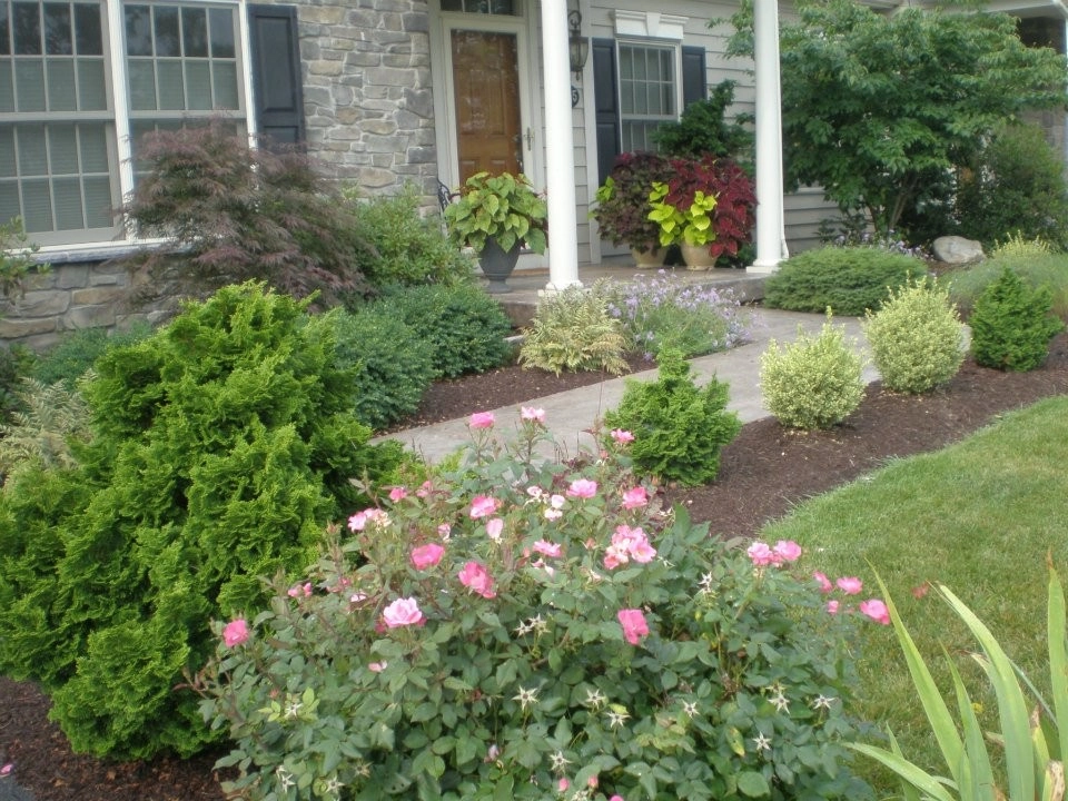 Plantings by Cumberland Valley Tree Service - Landscaping - Photo 24
