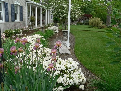 Plantings by Cumberland Valley Tree Service - Landscaping - Photo 22
