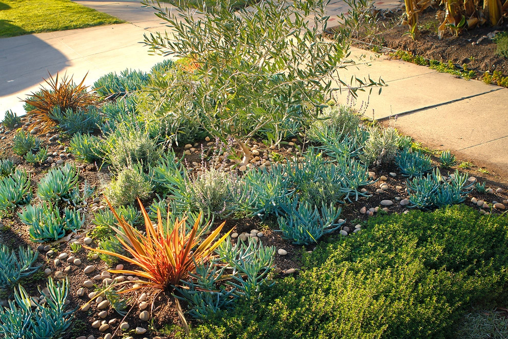 Bosler Earth Design - Photo 4