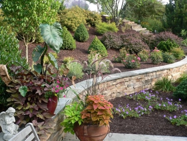 Cumberland Valley Tree Service - Landscaping - Photo 8