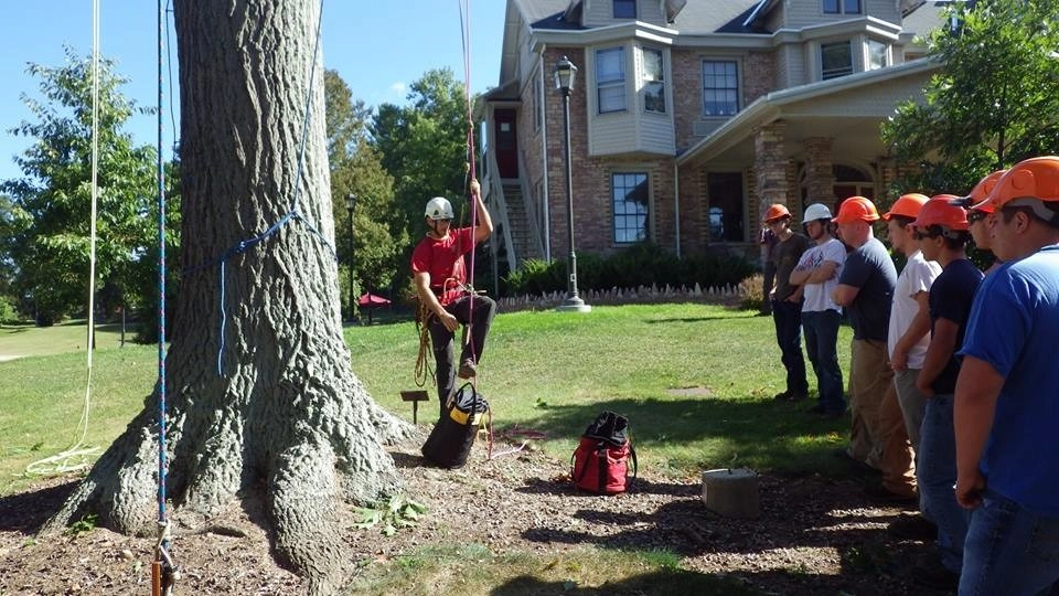 Teaching Classes about Trees by Cumberland Valley Tree Service - Landscaping - Photo 2