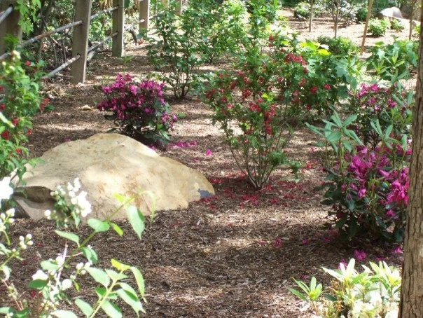 Plantings by Cumberland Valley Tree Service - Landscaping - Photo 33