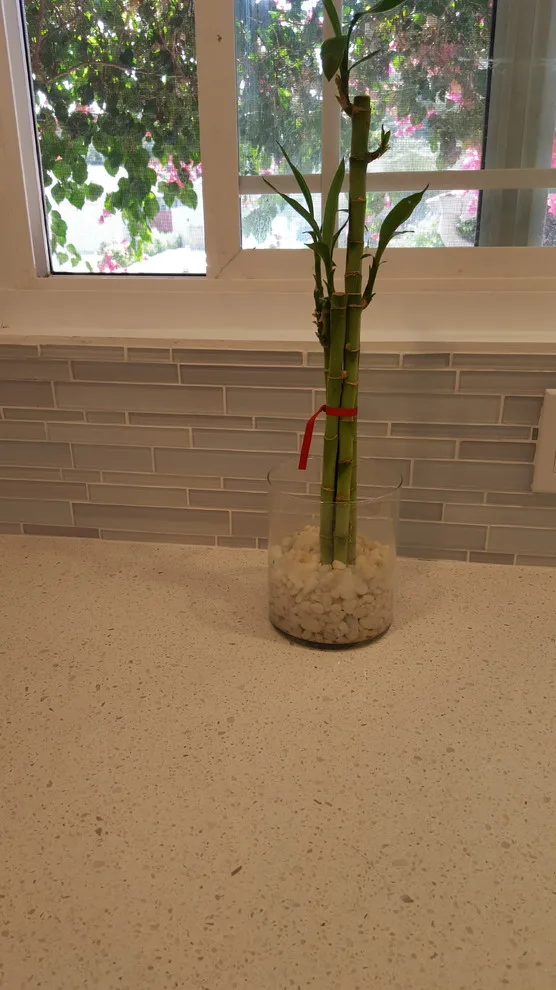 Santa Clara Shaker-Inspired Kitchen Renovation by Visionary Home Remodeling Inc. - Photo 6