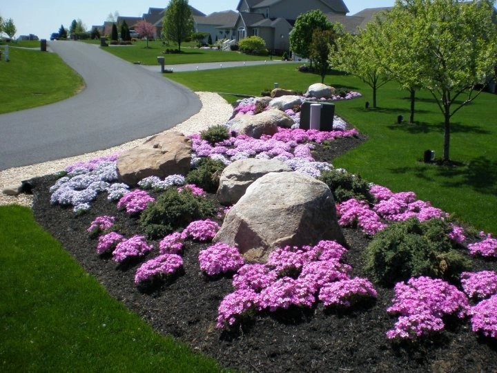 Plantings by Cumberland Valley Tree Service - Landscaping - Photo 31