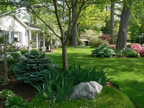 Plantings by Cumberland Valley Tree Service - Landscaping - Photo 34