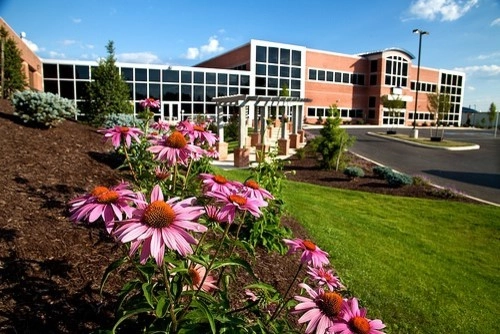 Plantings by Cumberland Valley Tree Service - Landscaping - Photo 3