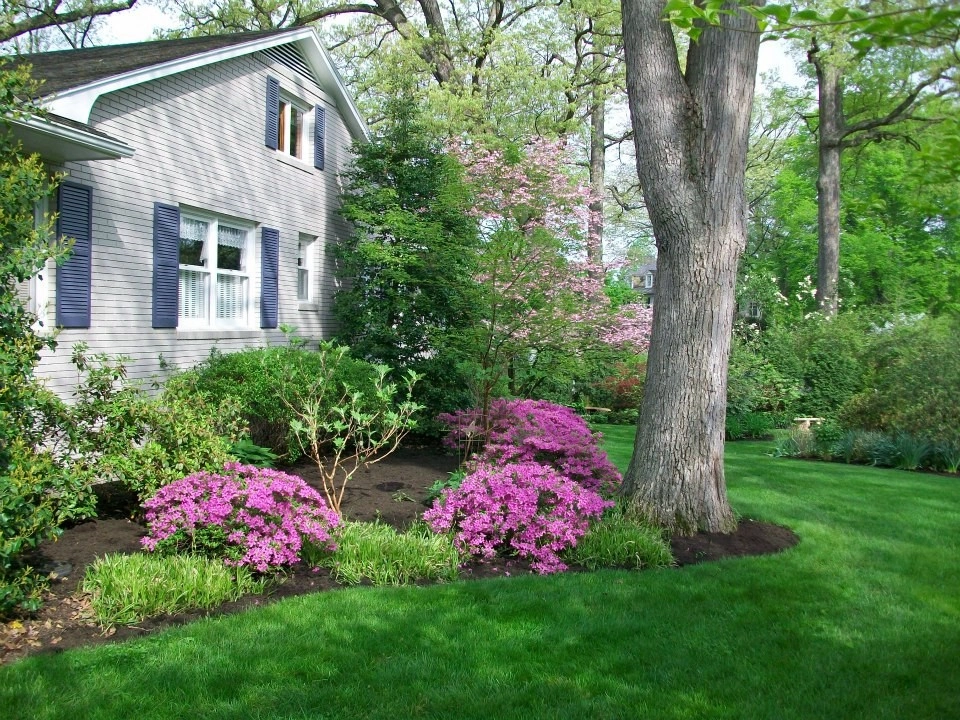 Plantings by Cumberland Valley Tree Service - Landscaping - Photo 7
