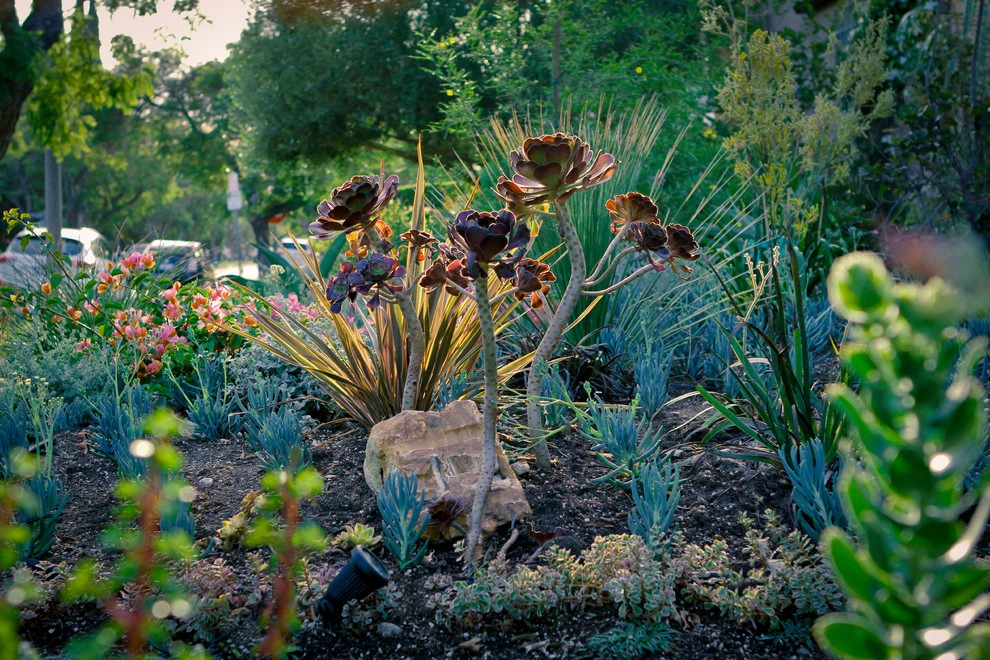 Monet Landscape - Beverly Grove by Bosler Earth Design - Photo 5