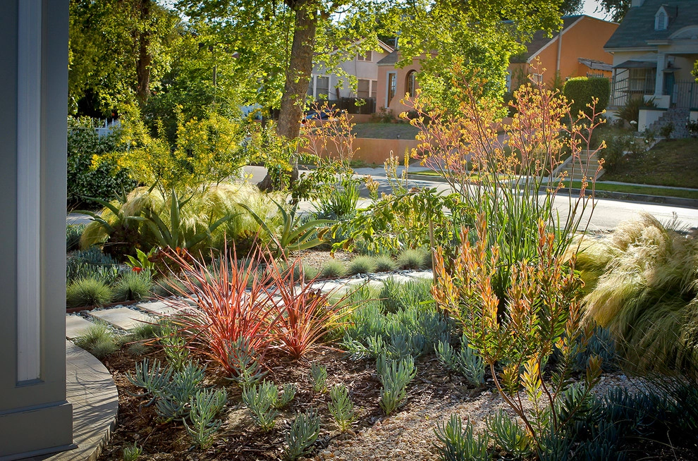 Colorful Drought Tolerant Up Grade - Mid Town by Bosler Earth Design - Photo 2