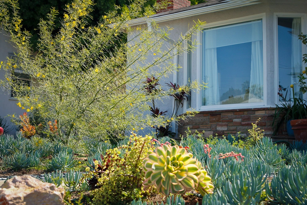 A Low Maintenance Colorful Landscape-Ladera Height by Bosler Earth Design - Photo 11