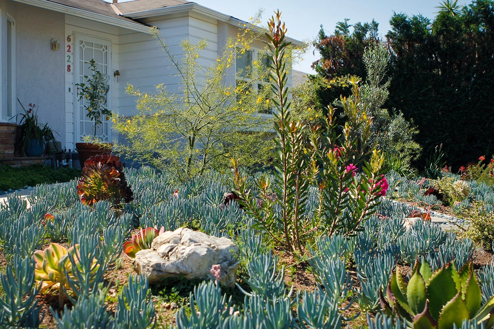 A Low Maintenance Colorful Landscape-Ladera Height by Bosler Earth Design - Photo 6