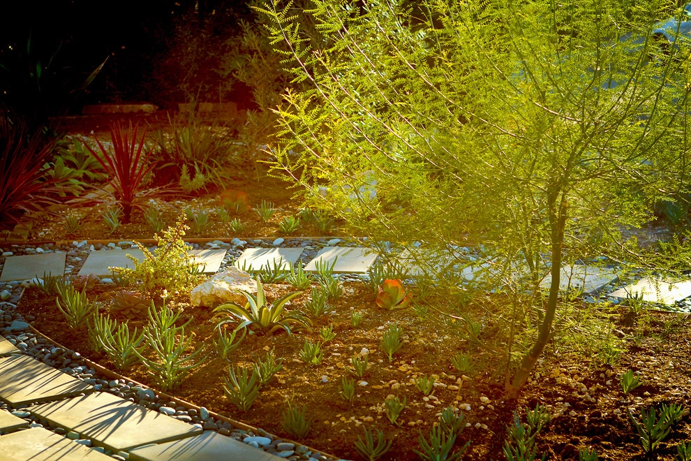 A Low Maintenance Colorful Landscape-Ladera Height by Bosler Earth Design - Photo 10