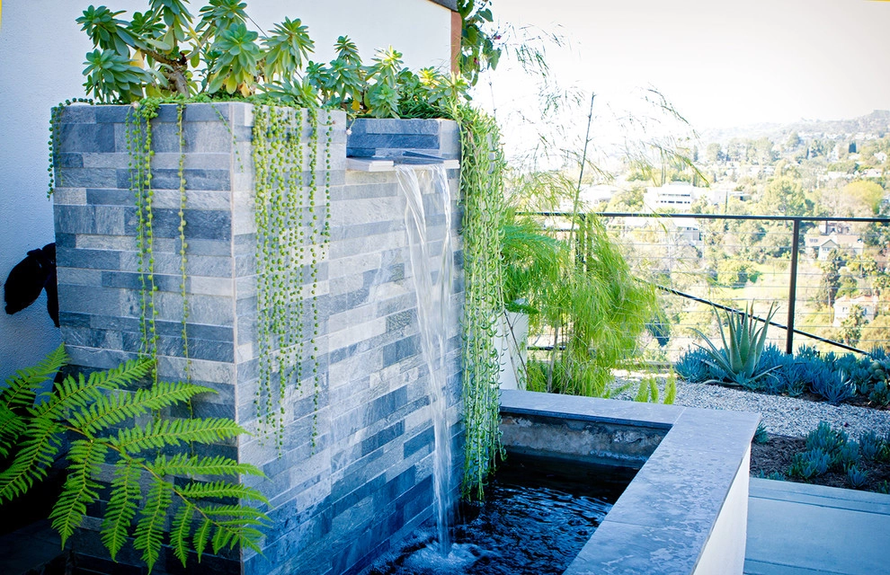Mid Century Modern - Hollywood Hills by Bosler Earth Design - Photo 8