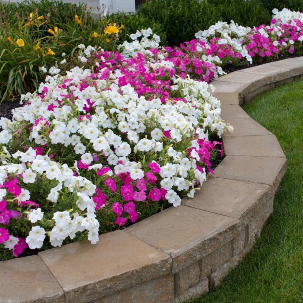 Cut-n-Up Lawncare And Landscape - Photo 7