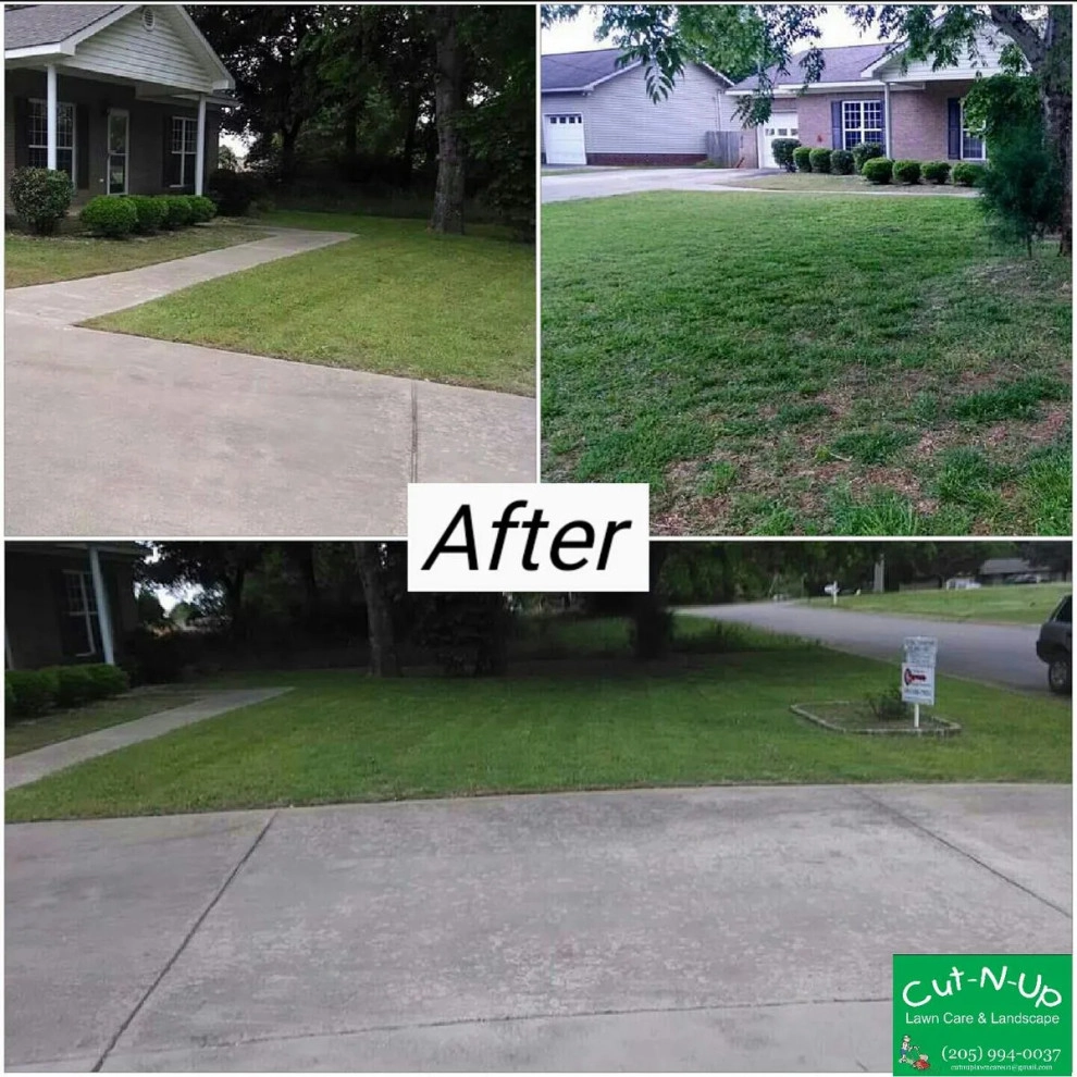 Cut-n-Up Lawncare And Landscape - Photo 12