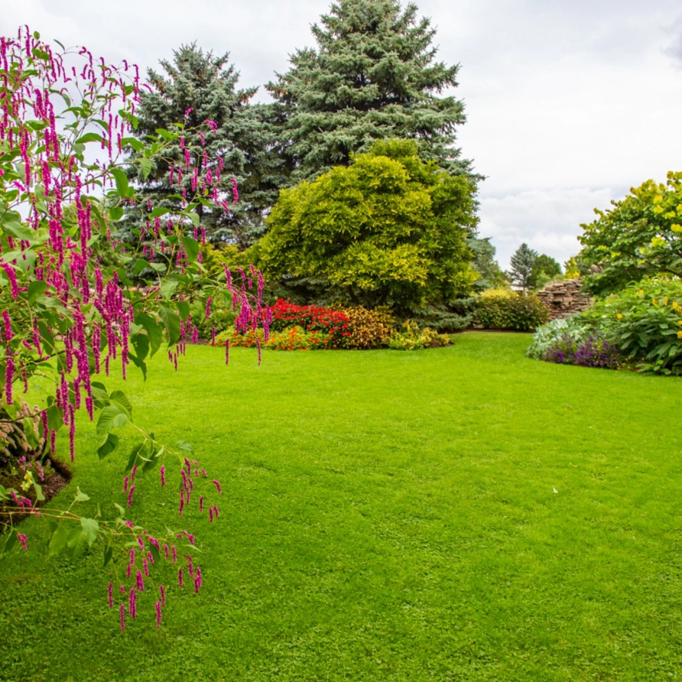 Cut-n-Up Lawncare And Landscape - Photo 8
