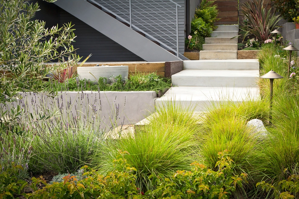 Naturalistic Contemporary Home - Santa Monica by Bosler Earth Design - Photo 3