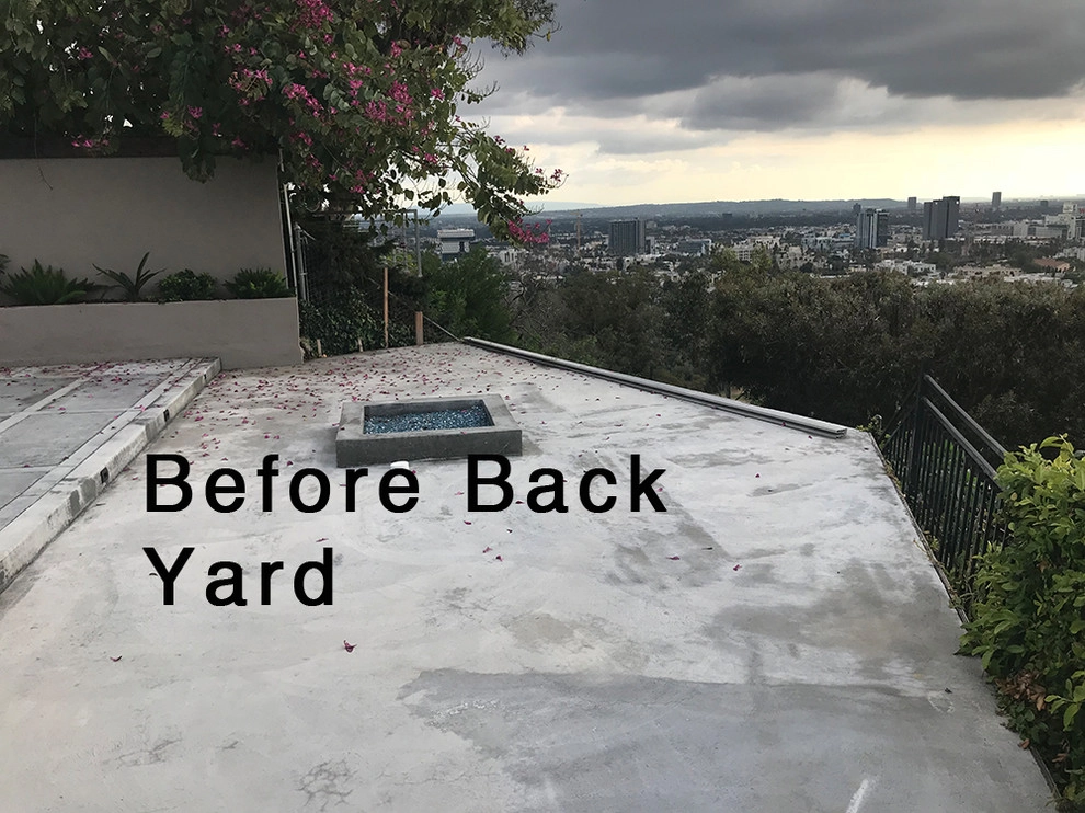 Mid Century Modern - Hollywood Hills by Bosler Earth Design - Photo 2