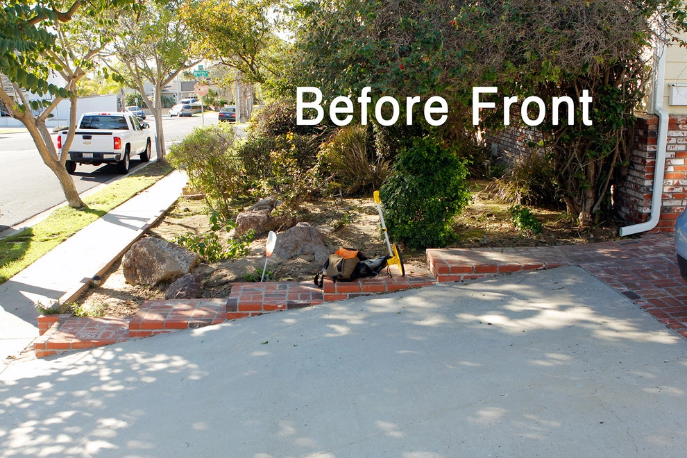 No Backyard, No Problem - Seal Beach by Bosler Earth Design - Photo 8