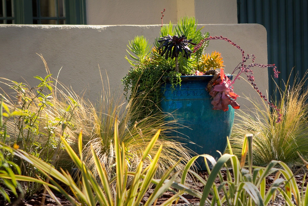 A Natural Refuge - Hollywood by Bosler Earth Design - Photo 2