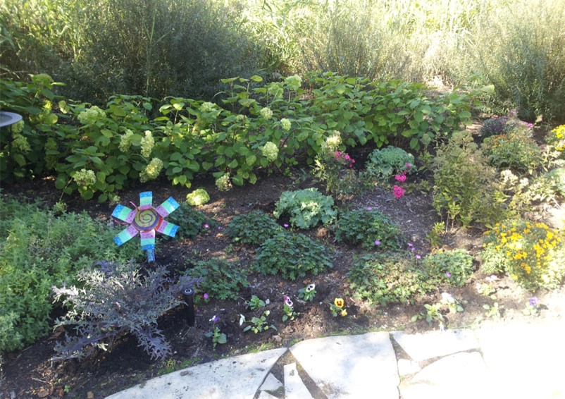 Landscaping Design and Installation by D & M Outdoor Living Spaces - Photo 6