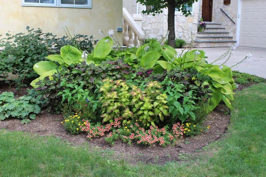 Landscaping Design and Installation by D & M Outdoor Living Spaces - Photo 5