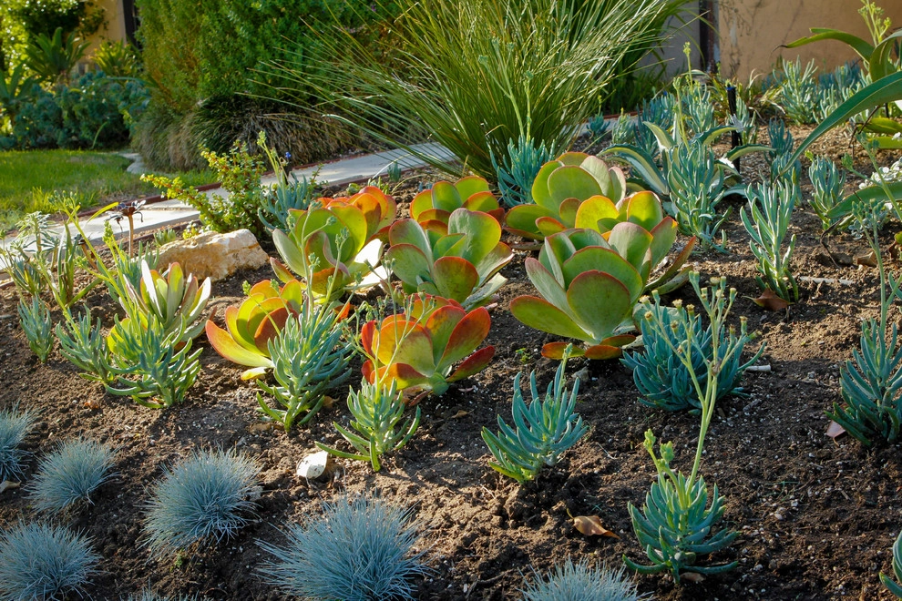 Monet Landscape - Beverly Grove by Bosler Earth Design - Photo 15