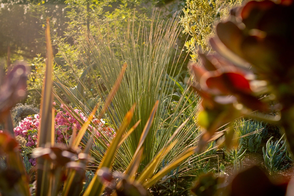 Monet Landscape - Beverly Grove by Bosler Earth Design - Photo 8