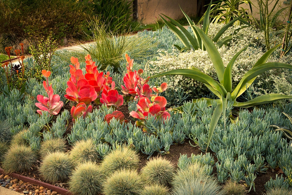 Monet Landscape - Beverly Grove by Bosler Earth Design - Photo 12