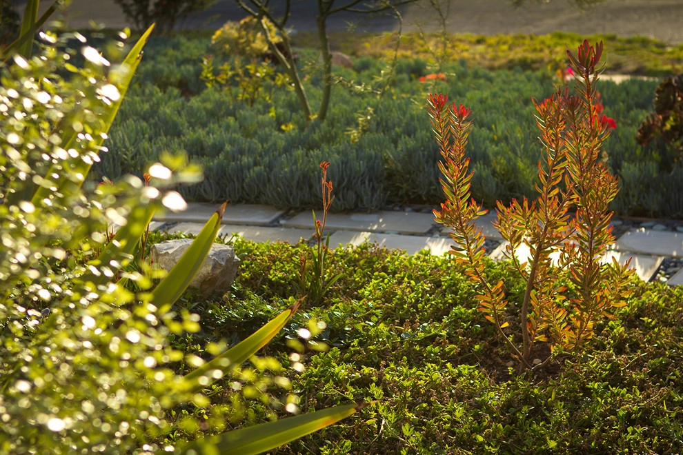 A Low Maintenance Colorful Landscape-Ladera Height by Bosler Earth Design - Photo 15