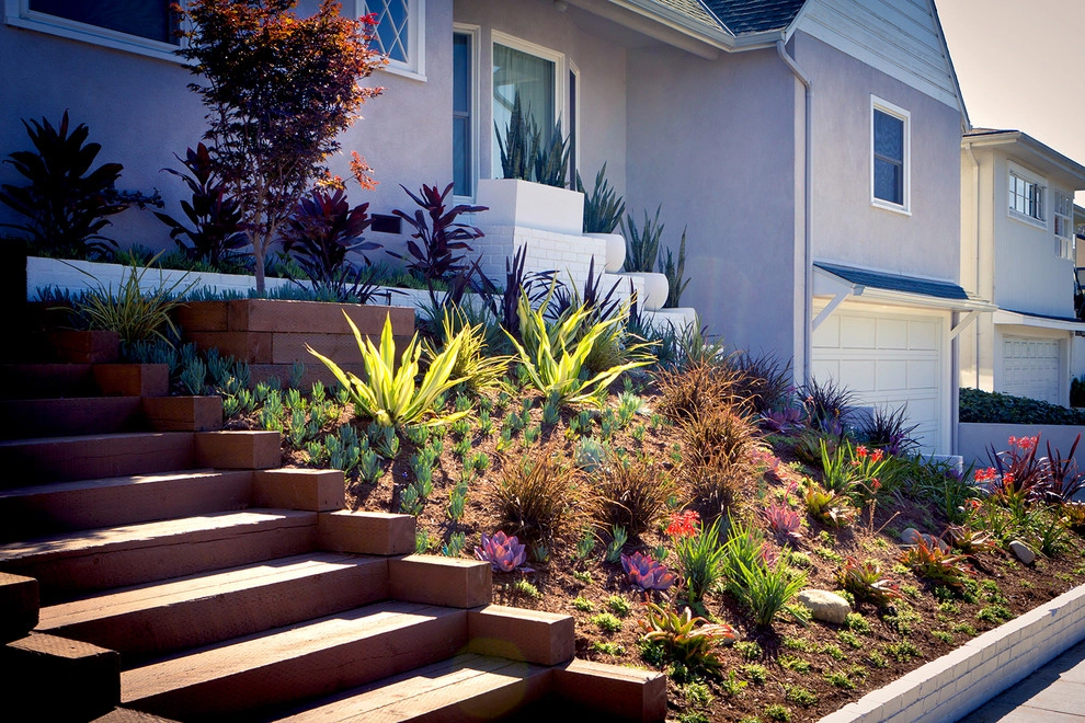 Baldwin Hills - California Native Hillside by Bosler Earth Design - Photo 11