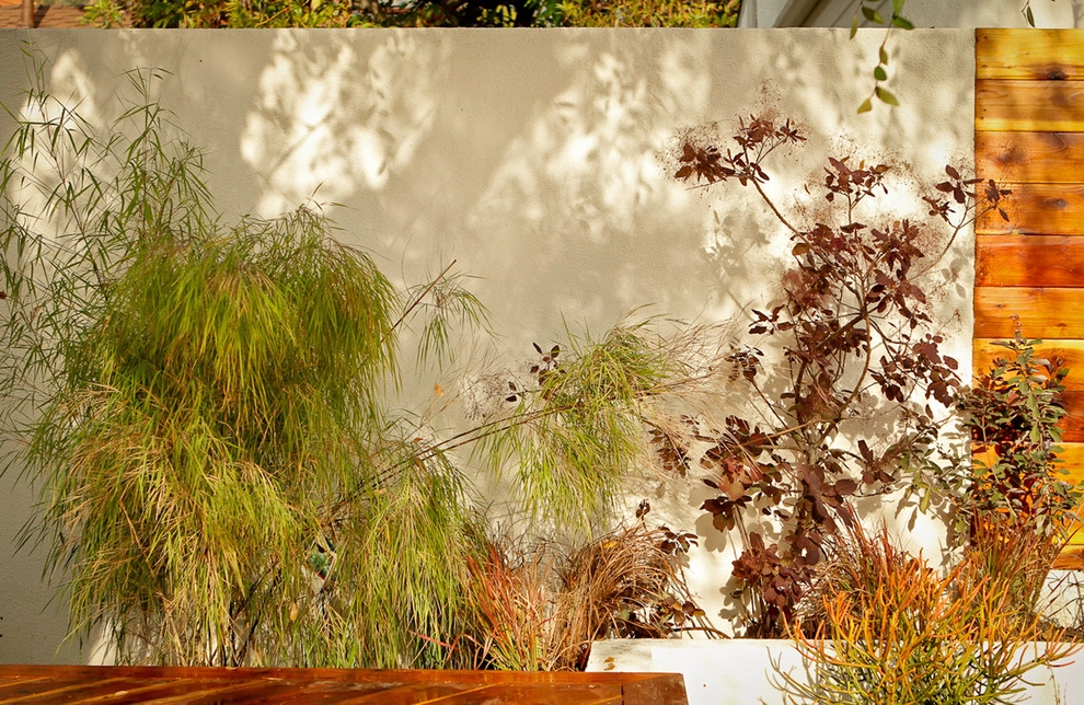 Eclectic Musicians' Retreat-Glendale by Bosler Earth Design - Photo 3