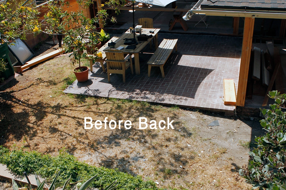 Naturalistic Contemporary Home - Santa Monica by Bosler Earth Design - Photo 10