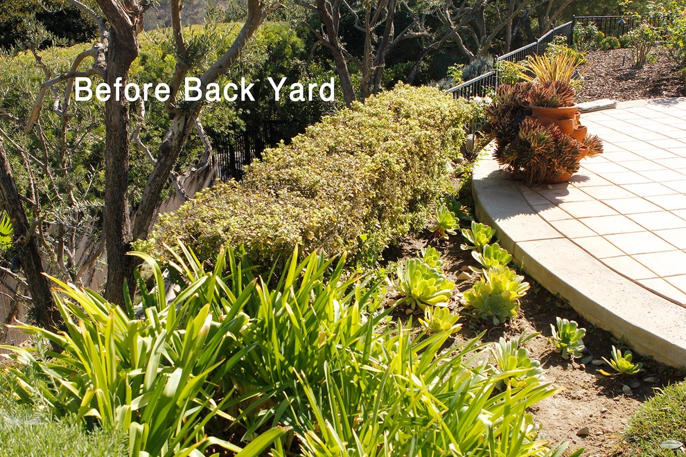 Classical, Whimsical, and Drought Tolerant-Beverly Hills by Bosler Earth Design - Photo 15