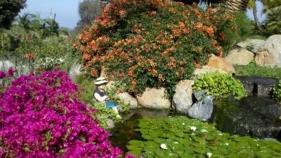 Water Features by Daniels Landscape Inc. - Photo 2