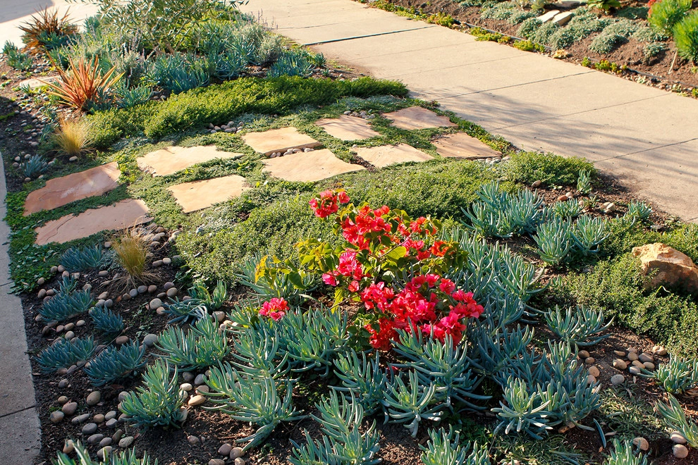 Spanish Landscape Hancock Park by Bosler Earth Design - Photo 10