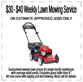 Dave's Lawn Care Service - Photo 5