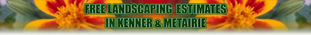Dave's Lawn Care Service - Photo 3