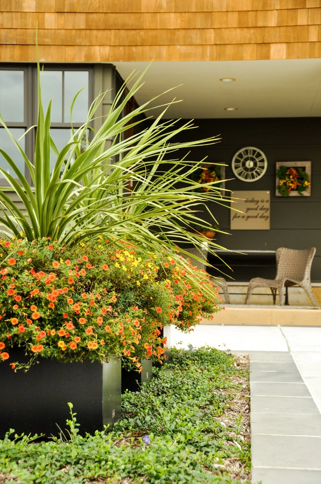 Contemporary Outdoor Space by David J Frank Landscape Contracting Inc - Photo 7