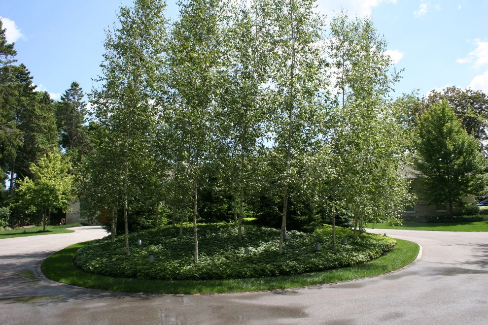 Landscape Overlooking Lake Michigan by David J Frank Landscape Contracting Inc - Photo 2