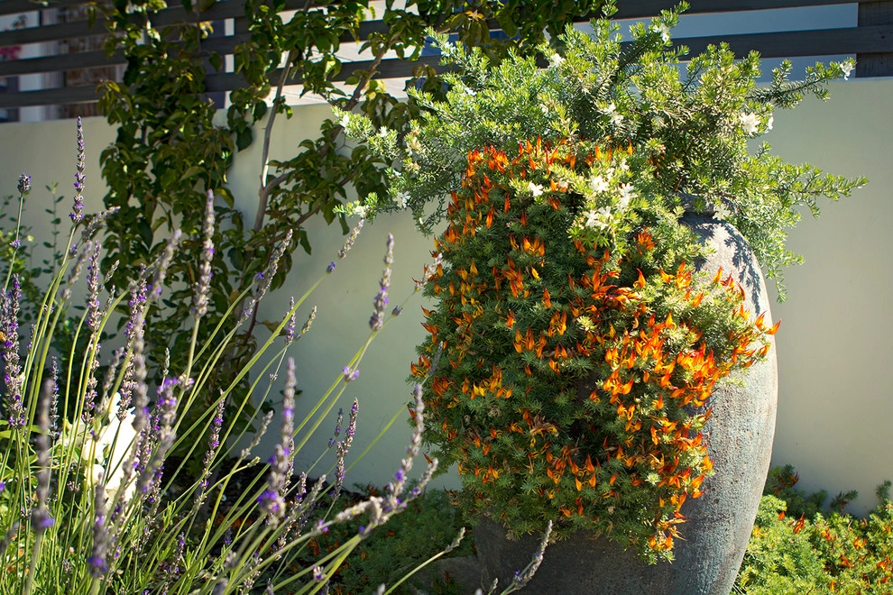 Unique Contemporary Provence - Santa Monica by Bosler Earth Design - Photo 19