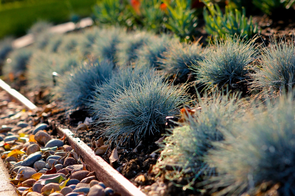 Monet Landscape - Beverly Grove by Bosler Earth Design - Photo 3
