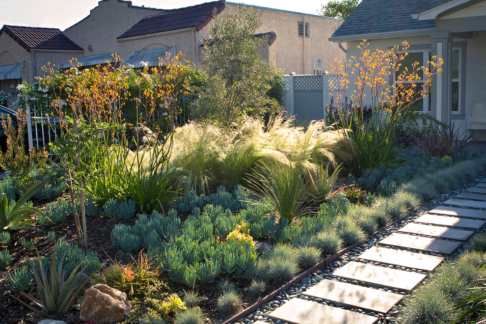 Colorful Drought Tolerant Up Grade - Mid Town by Bosler Earth Design - Photo 4